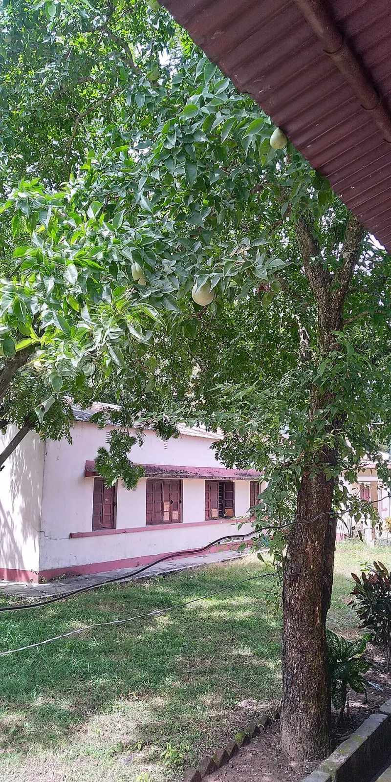 Inside the Invisible Divide: How Your Hostel Room Type Shapes Your Entire Trip
